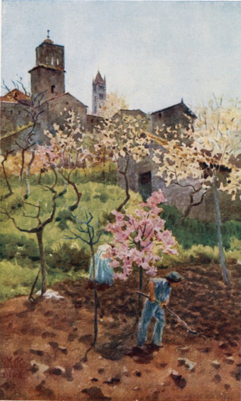 Sienie. Under the Walls (kolor lito) autorstwa William Wiehe Collins
