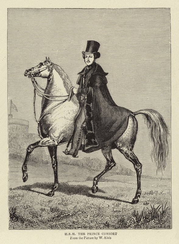 H R H Książę Konsort autorstwa William Wolfe Alais