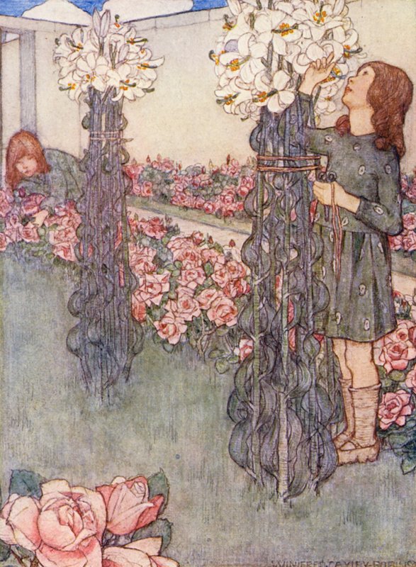 Księga ogrodnictwa dla dzieci: Lilie i róże (kolorowa litografia) autorstwa Winifred Cayley Robinson