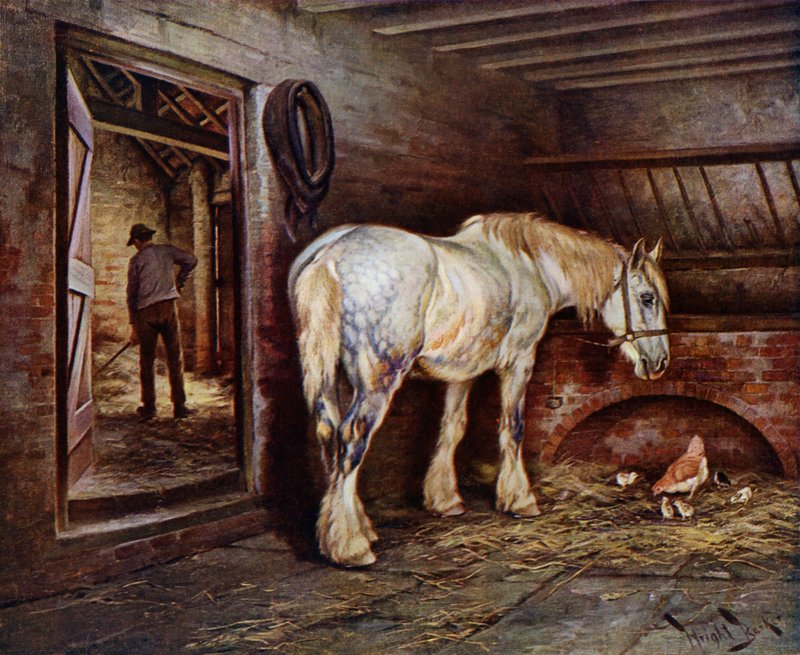 Na koniec dnia: koń w stajni, gdy człowiek wyrzuca gnojówkę (kolor lito) autorstwa Wright Barker