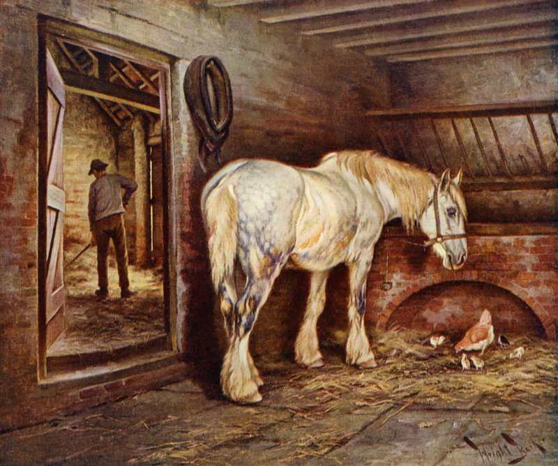 Koniec dnia - koń hodowlany wraca do domu (kolor lito) autorstwa Wright Barker
