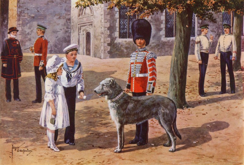 Wilczarz Gwardii Irlandzkiej w Tower of London autorstwa after Edgar Alfred Holloway