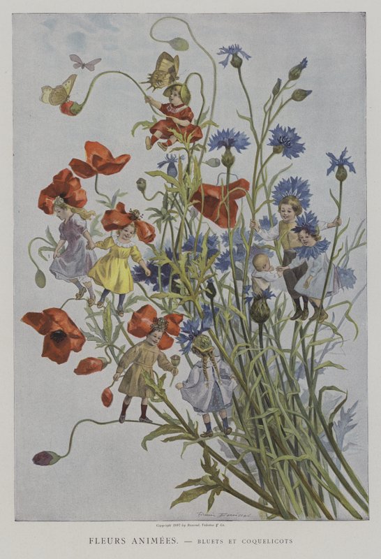 Fleurs Animees. Bleuets i Coquelicots. (Animowane kwiaty: chabry i maki) autorstwa after Firmin Bouisset