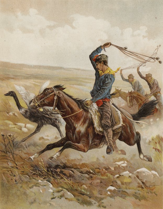 Polowanie na strusia, Ameryka Południowa (chromolitho) autorstwa after Frank Feller