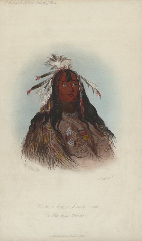 H?co-a-h?co-a-h?cotes-min, Płaskogłowy Wojownik (akwatinta) autorstwa after George Catlin