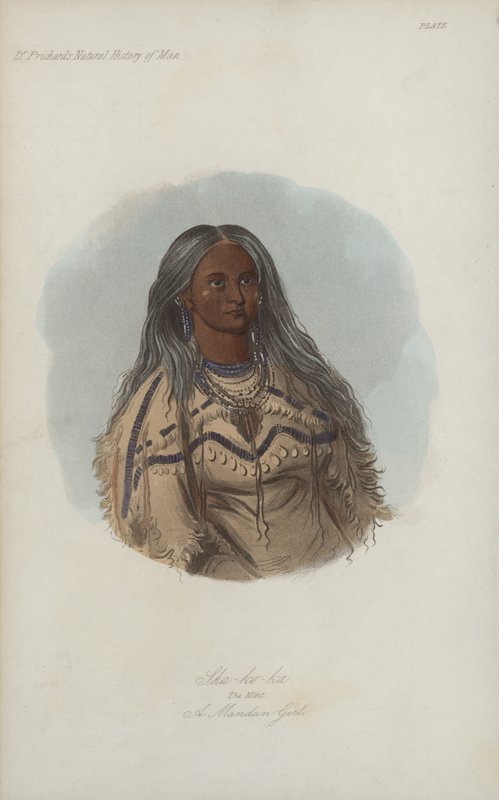 Sha-ko-ka, Mennica, Mandan Girl (akwatinta) autorstwa after George Catlin