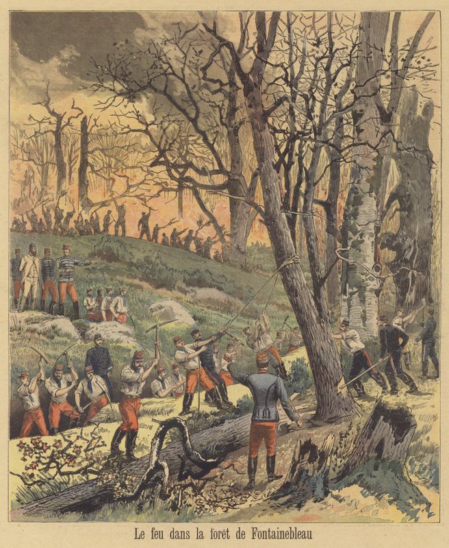 Pożar w lesie Fontainebleau autorstwa after Henri Meyer