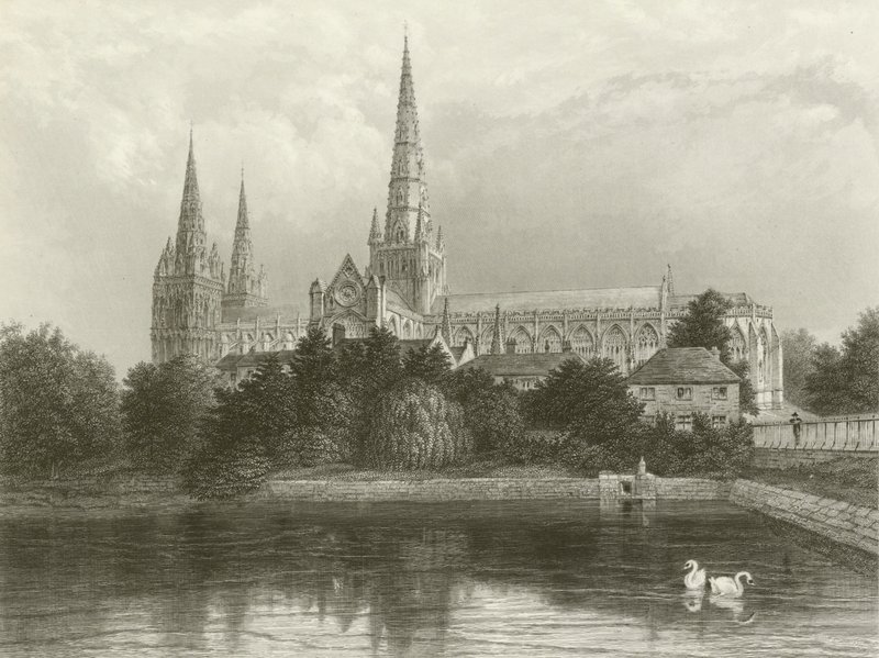 Katedra w Lichfield autorstwa Henry after Warren