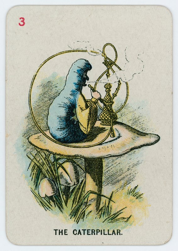 Gąsienica autorstwa after John Tenniel