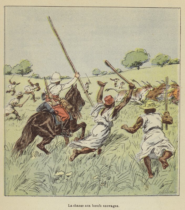 Polowanie na dzikiego wołu autorstwa after Louis Charles Bombled
