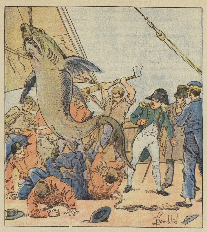 Łapanie rekina autorstwa after Louis Charles Bombled