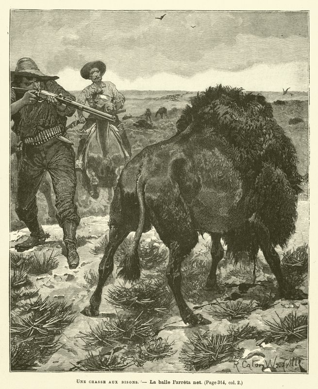 Polowanie na żubry autorstwa after Richard Caton II Woodville