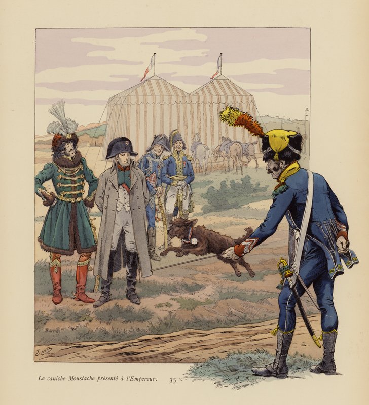 Pies Moustache przedstawiony Napoleonowi (kolorowa litografia) autorstwa pseudonym for Onfray de Breville Jacques Job