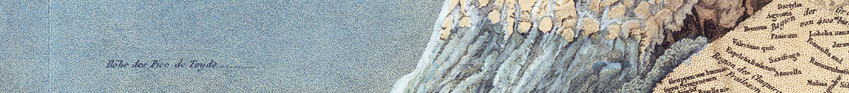 Geografia roślin w krajach tropikalnych, studium Andów, rysunek Schoenbergera i Turpina, druk Langlois, Paryż (Baron Friedrich Alexander von Humboldt), Detail: Gletscher und Schneegrenze