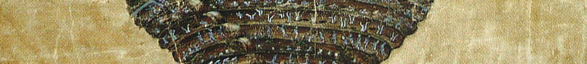 Ilustracja do Boskiej komedii Dantego Alighieri: Otchłań piekła, 1480-1490 (Sandro Botticelli), Detail: Trichterspitze zum Eisgrund