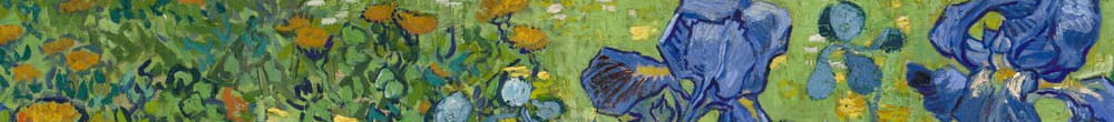 Irysy (Vincent van Gogh)