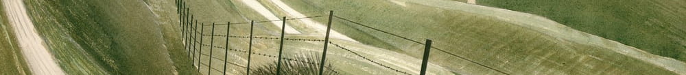 Ścieżki kredowe (Eric Ravilious)