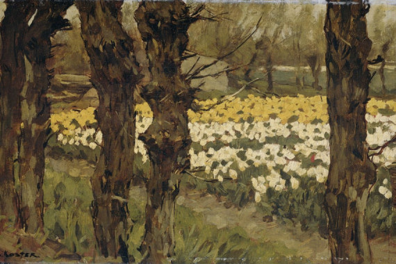 Antonie Louis Koster