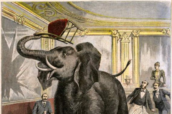 Fortune Louis and Meyer Henri Meaulle