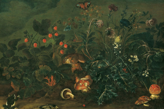 Franz Michael Sigismund von Burgau the Elder