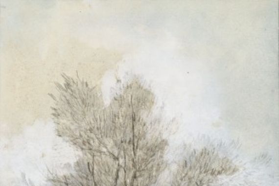 Maria Bilders-van Bosse