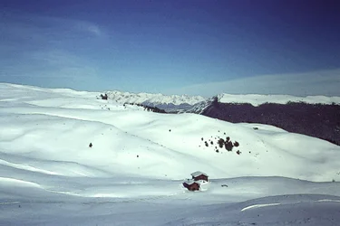 Śnieg w Alpach