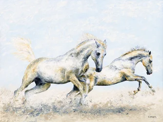 Arabscy rycerze
