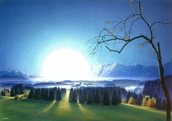 Leśna polana