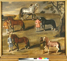 Konie Williama Cavendisha, księcia Newcastle, ok. 1650 r.