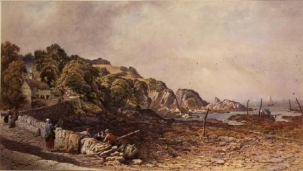 Lee w pobliżu Ilfracombe