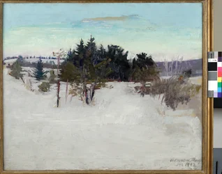 Pejzaż zimowy, 1902