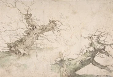 Studia dwóch wierzb Pollard, Verso: Wide Landscape Prospect, koniec XVI-połowa XVII wieku.
