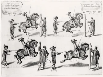 Ilustracja z podręcznika jeździeckiego, grawerowana przez Peetera Clouweta (1629-70), 1658