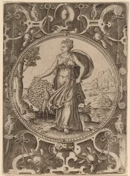 Juno