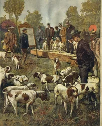 Wystawa i próby polowe psów myśliwskich w San Siro (Mediolan), Achille Beltrame (1871-1945), z La Domenica del Corriere, 2 lipca 1899