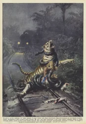 W środku indyjskiego lasu mężczyzna czeka na pociąg w pobliżu linii kolejowej