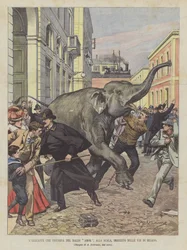 Słoń, który figuruje w Ballo Amor w La Scali, wypchany na ulicach Mediolanu