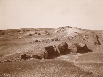 W Skamieniałym Lesie (widok ogólny, Middle Park), ok. 1895-1897 (zdjęcie)