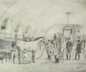 Królewskie Stajnie: poranne uwodzenie (ołówek)