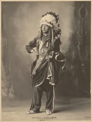 John Hollow Horn Bear, Siuks