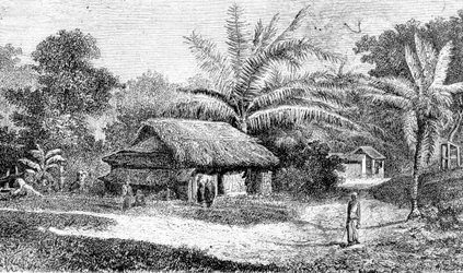 Wioska w dolinie Colombo, Sri Lanka (grawerowanie)