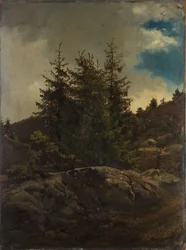 Pejzaż z Nes w Hallingdal