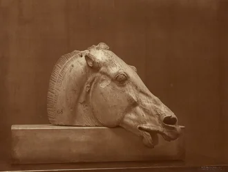 [Głowa konia z frontonu Partenonu, British Museum]