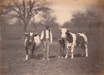 Krajobraz, ok. 1864 (zdjęcie)