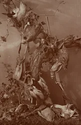 [Still Life: Dead Game]