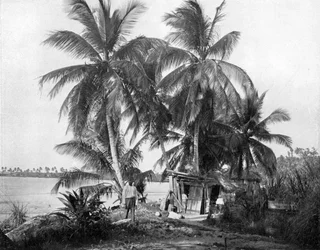 W drodze do Blue Hole, Port Antonio, Jamajka, ok. 1905.