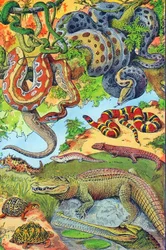 Ilustracja przedstawiająca gady ok. 1923 r.