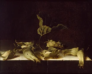 Martwa natura z orzechami laskowymi, 1696