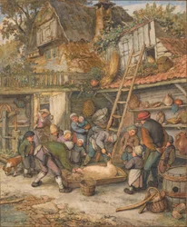 Skrobanie świni