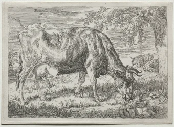 Krowa i dwie owce u stóp drzewa, 1670.